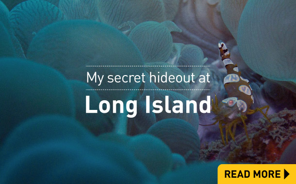 My secret hideout at Long Island