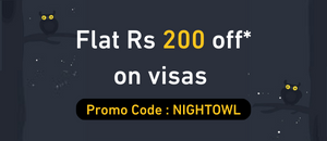 Night Owl Offers