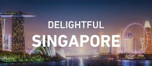 Delightful Singapore