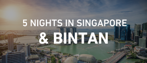 Splendid Singapore & Bintan