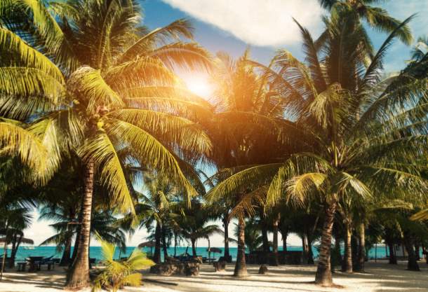 Paradise Beach Paradise Beach