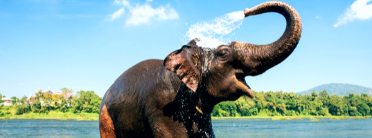 Periyar National Reserve Periyar National Reserve