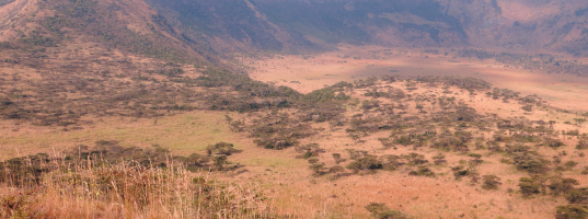 Queen Elizabeth National Park