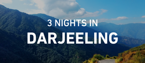 Dazzling Darjeeling