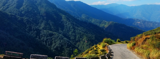 QUEEN OF THE HILLS Darjeeling 3N