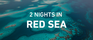 Red Sea Discovery