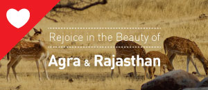 Rejoice in the Beauty of Agra and Rajasthan