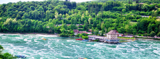Rhine Falls 6