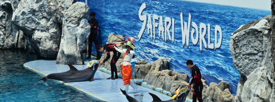 Safari World &amp; Chao Phraya Dinner Cruise