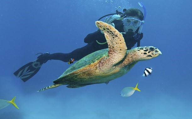 Scuba Diving, Australia