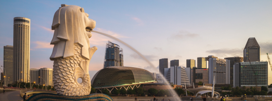 Singapore Familiarisation Drive