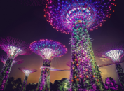 Singapore Singapore