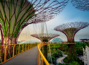 Singapore Singapore
