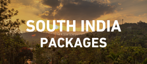 South India Packages