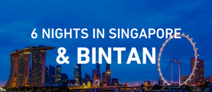 Splendid Singapore & Bintan