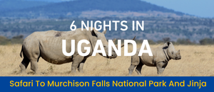 Uganda Breathtaking Safari