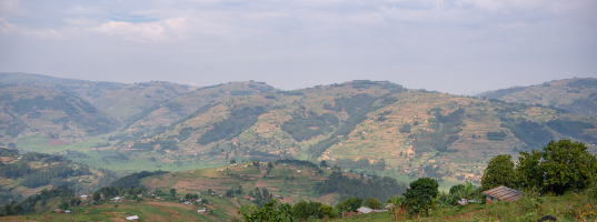 Views Bwindi Impenetrable National Park