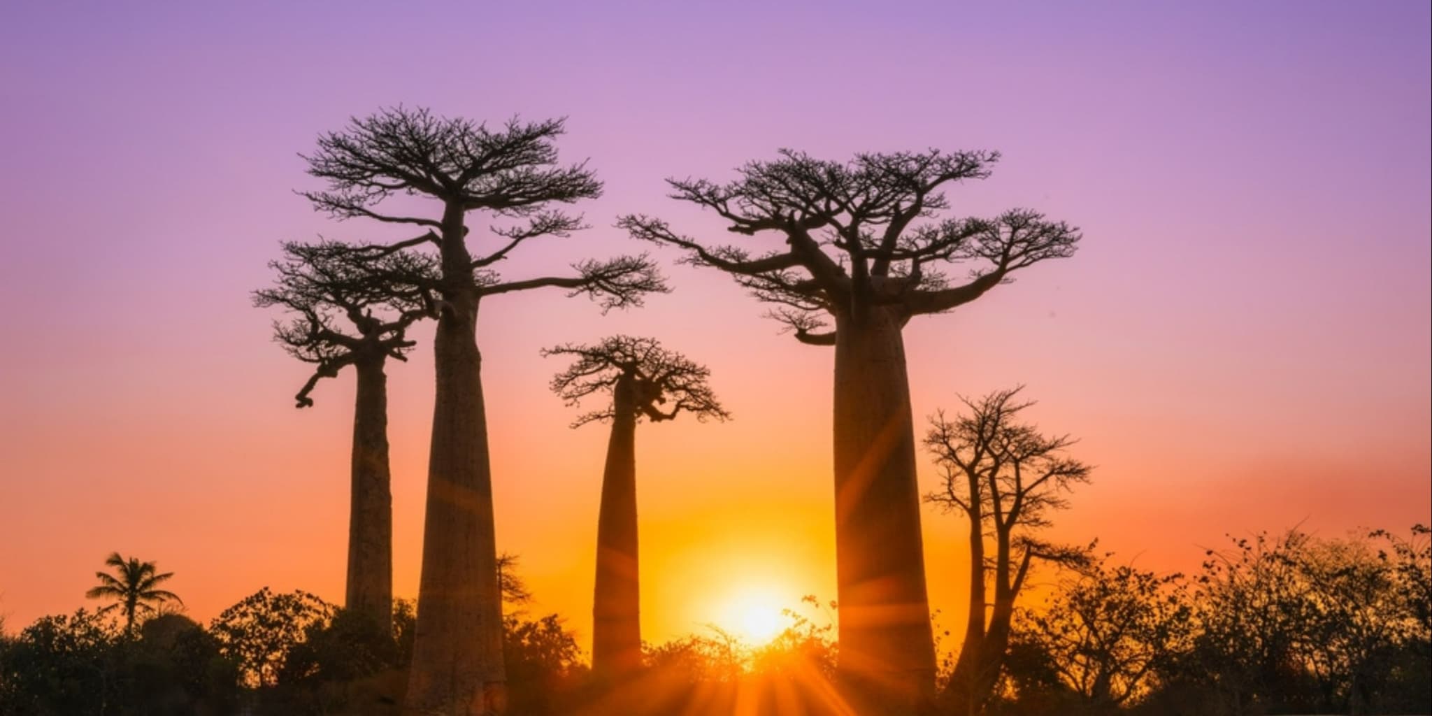Madagascar