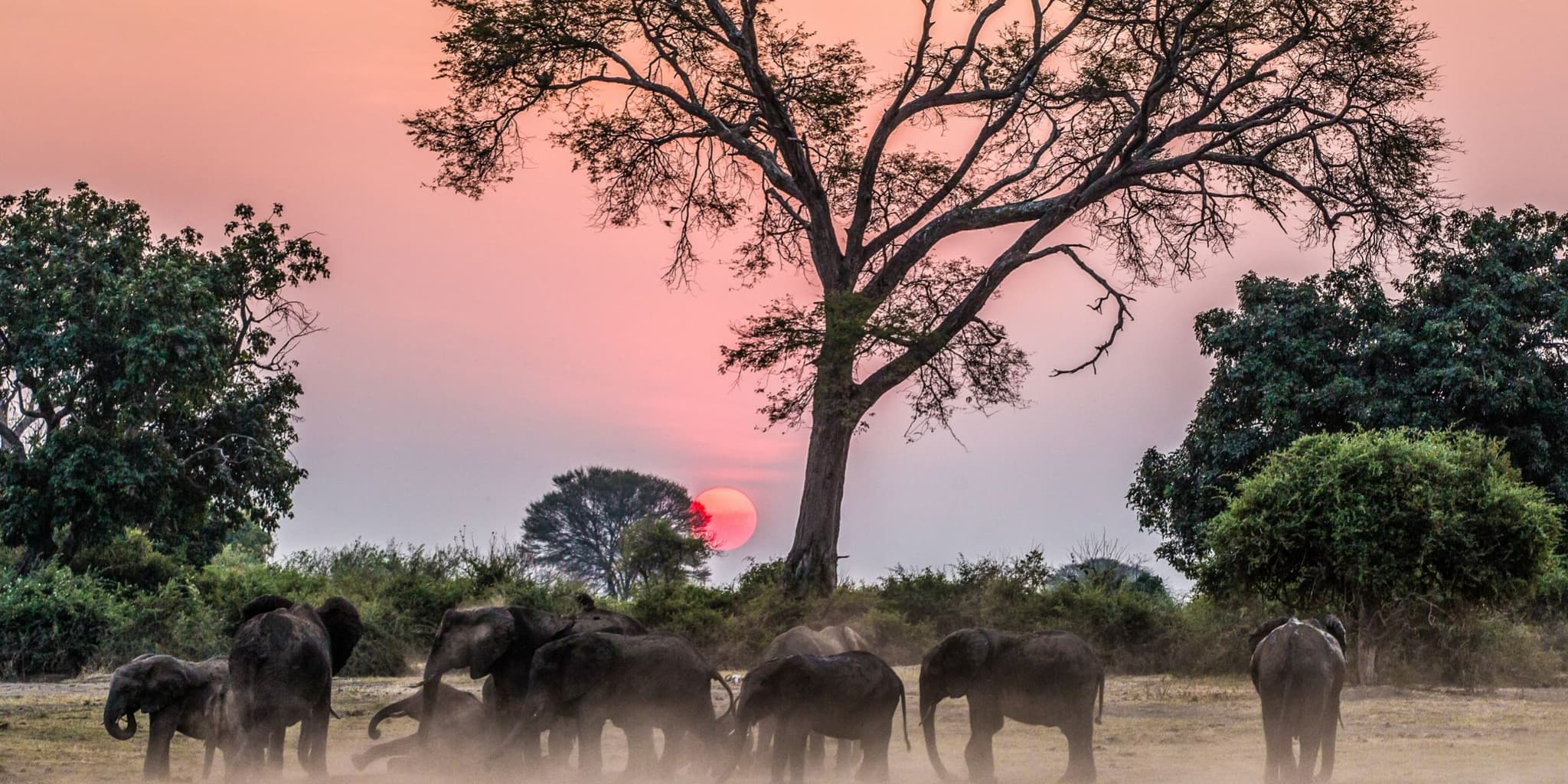 Zimbabwe