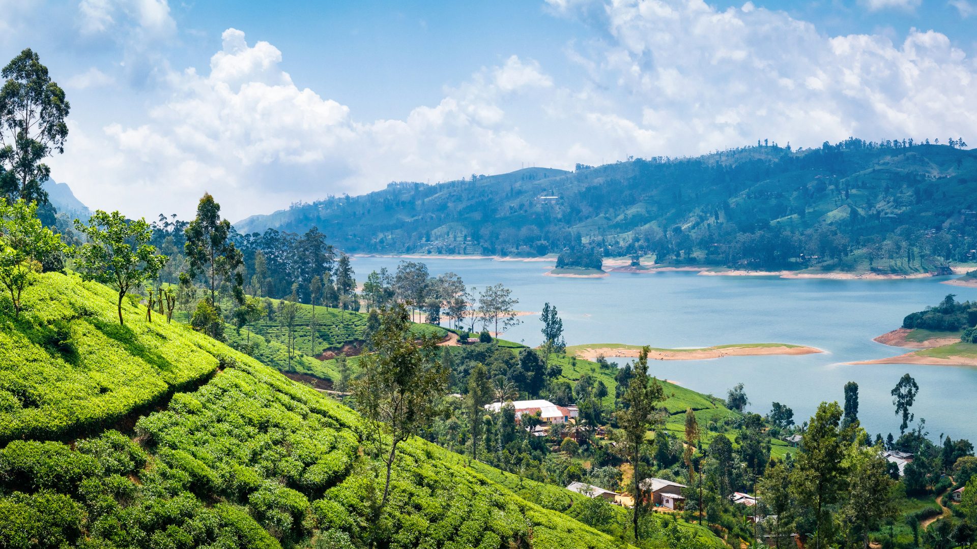 Sri Lanka