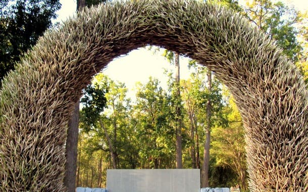 Antler gate at Kanha NPark