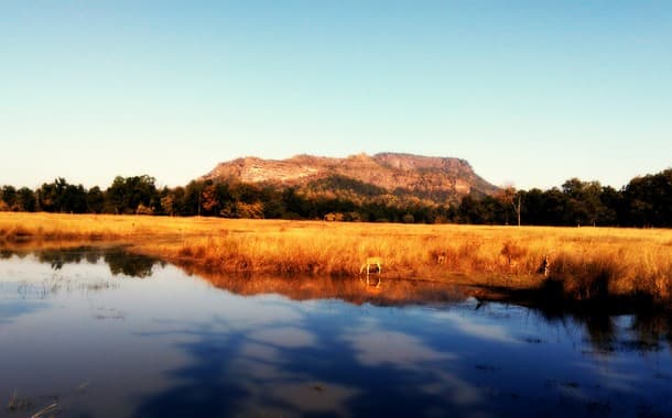 Bandhavgarh, MP