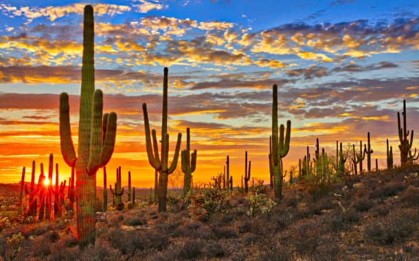 Beautiful Deserts