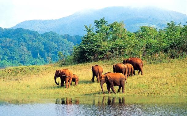 Bellikkal, Ooty