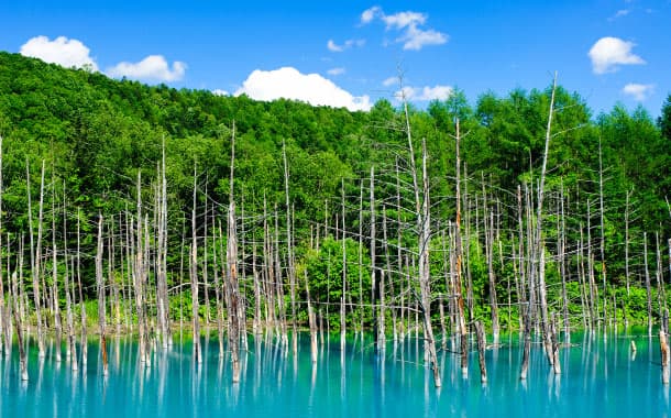 Blue Pond in summer