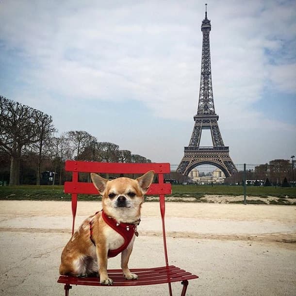 Eiffel tower, Paris
