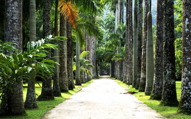 Jardin Botanico