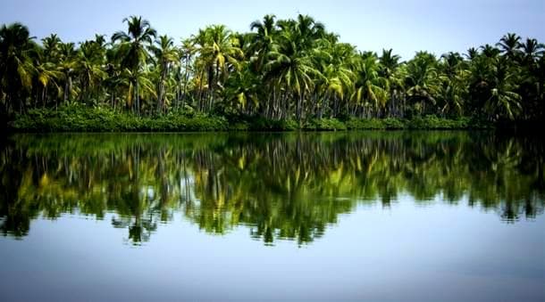 Kavvayi backwaters