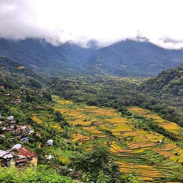 Khonoma Village