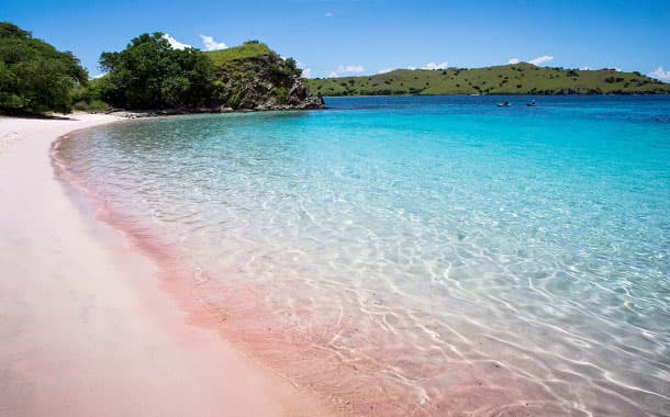 Komodo island, Indonesia
