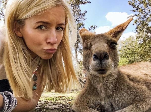 Lone Pine Koala Sanctuary, Australia