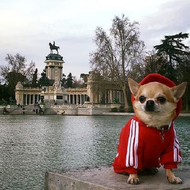 Madrid, Spain