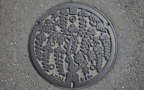 Manhole cover in Fujimi-shi, Osui, Japan