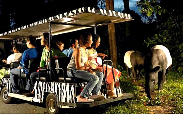 Night safari, Singapore