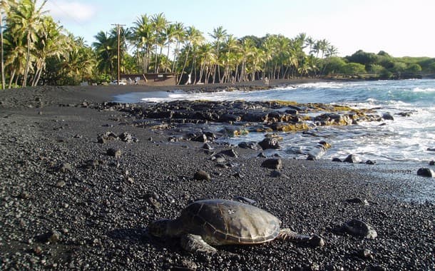 Panalu’u Beach located in Hawaii