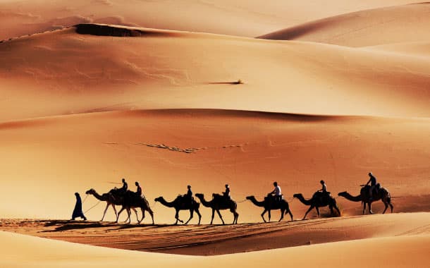 Sahara Desert