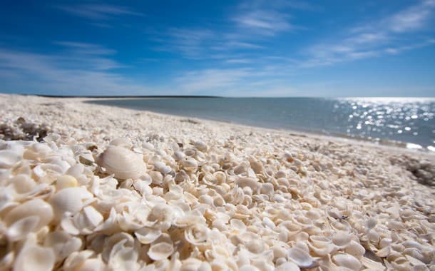 Shell Beach, Australia