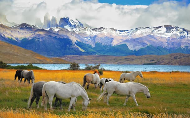 Torres del Paine