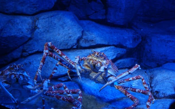 Underwater World Malaysia