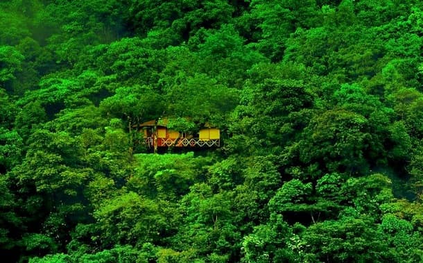 Vythiri Resort, Wayanad