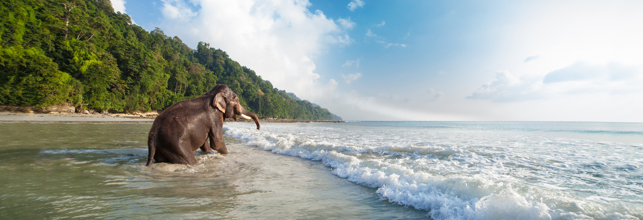 10 Reasons why you should travel to Andaman post 30
