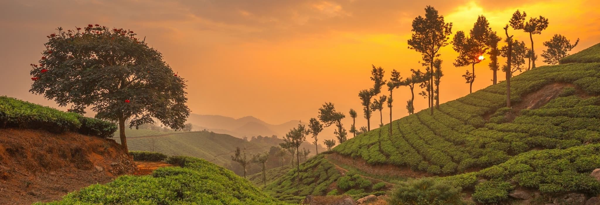 5 Ways How Travelling to Kerala in the Monsoon Can Make You Rich