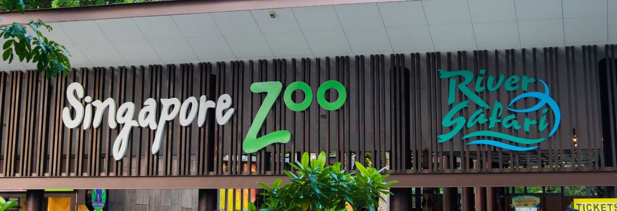 Get amazed at Singapore Zoo