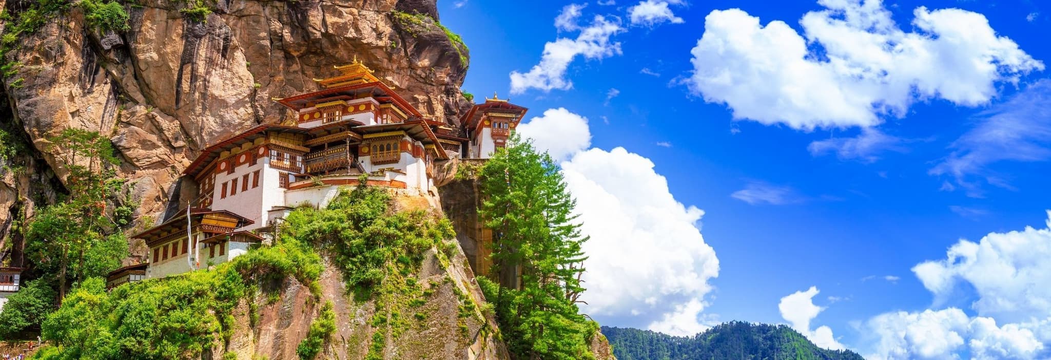 5 Reasons Why Visiting Bhutan is More Refreshing than a Cup of Coffee