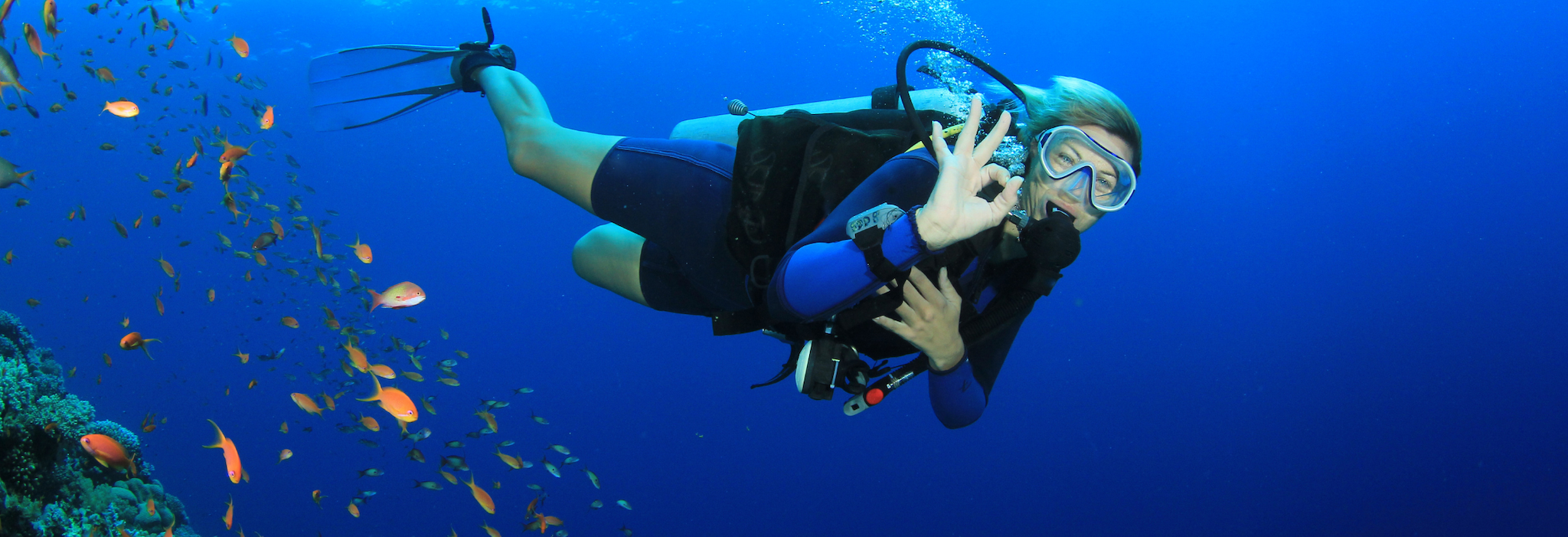 Try scuba diving or snorkeling, if you haven’t already