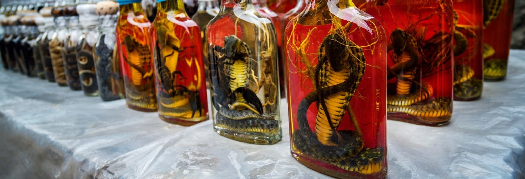 Snake Liquor, Vietnam